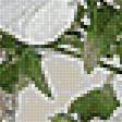 Предпросмотр схемы вышивки «№2444544»