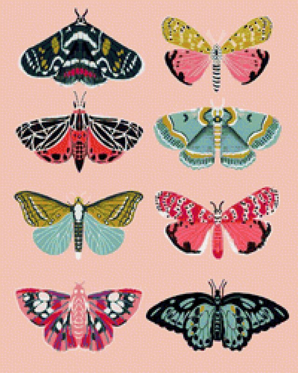 Бабочки - фон, бабочки, красота, крылья, бабочка, насекомые, яркость - предпросмотр