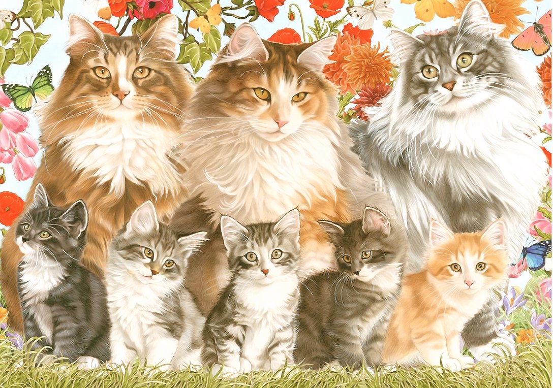 Кошачье семейство - коты, семья - оригинал