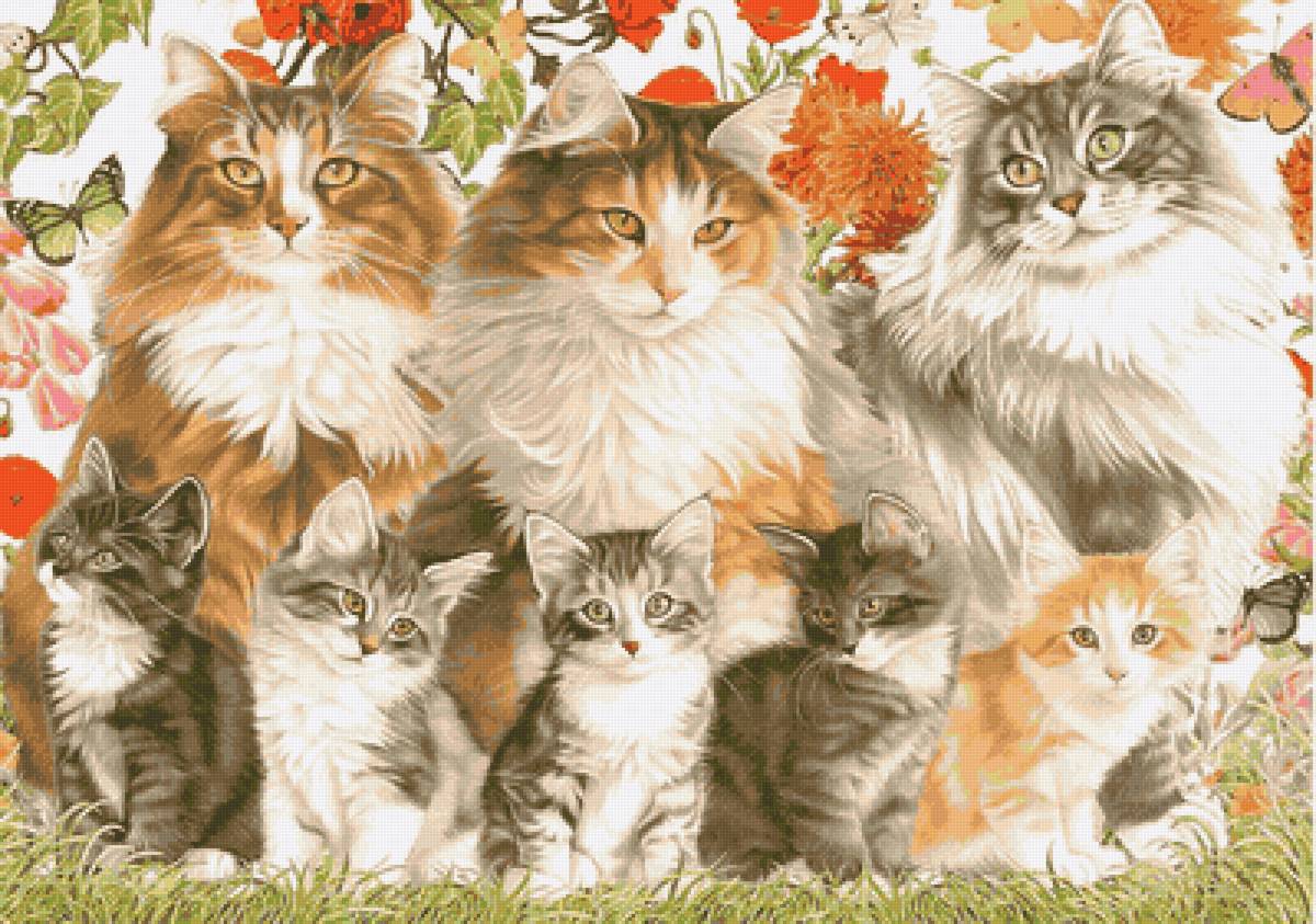 Кошачье семейство - коты, семья - предпросмотр