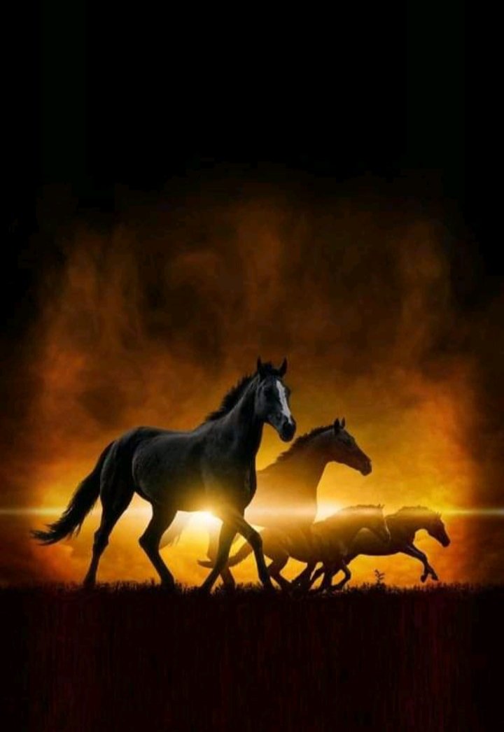 На закате - миф, лошади - оригинал
