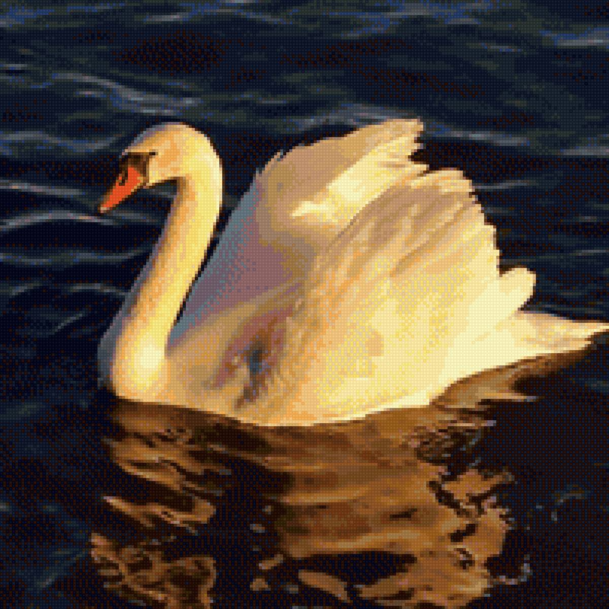 Лебедь - птица - предпросмотр