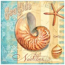 Схема вышивки «mušle 1d»