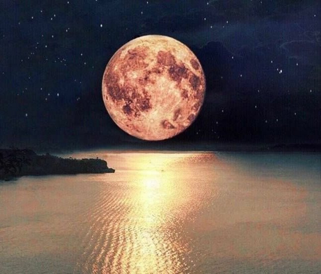 Полнолуние - море, берег, ночь, луна, полнолуние - оригинал