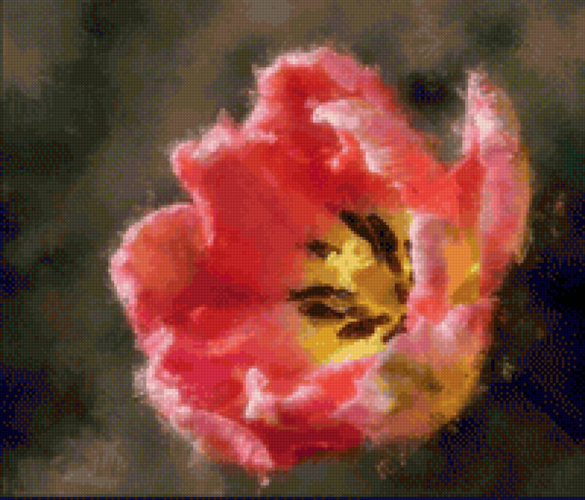 Тюльпан - цветок, тюльпан - предпросмотр