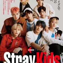 Схема вышивки «Stray Kids ALL IN»