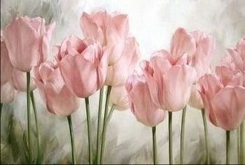тюльпановая нежность - оригинал