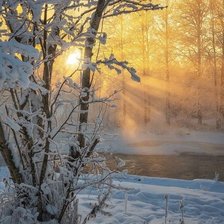 Схема вышивки «№2446877»