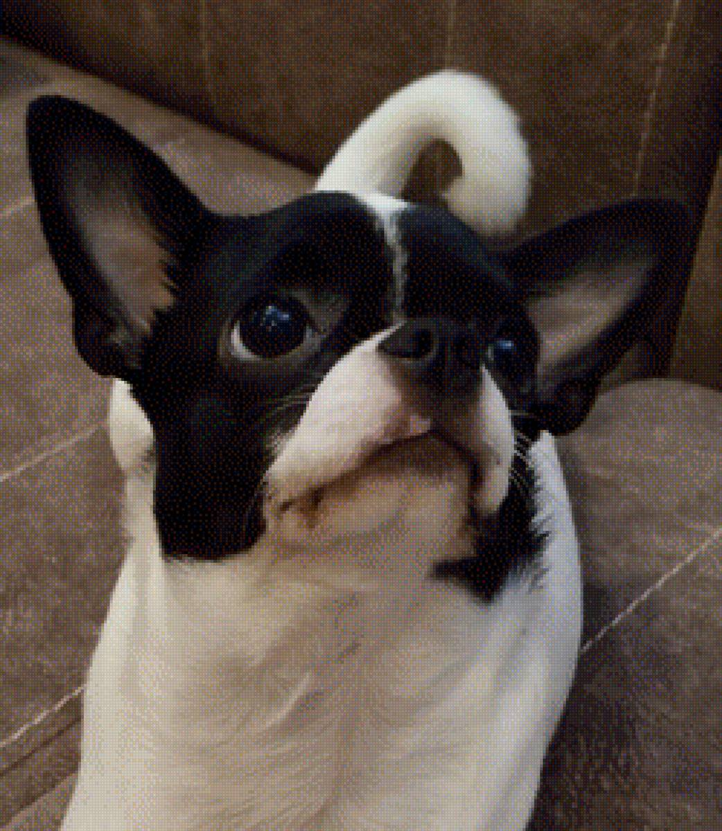 Бусинка - предпросмотр