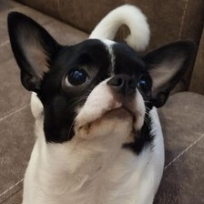 Схема вышивки «Бусинка»