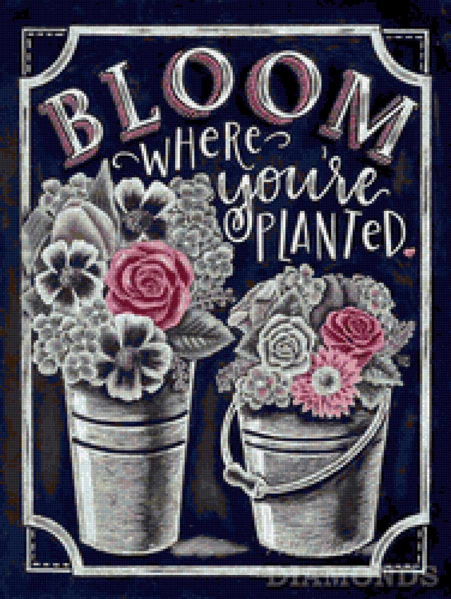 vyroky - предпросмотр