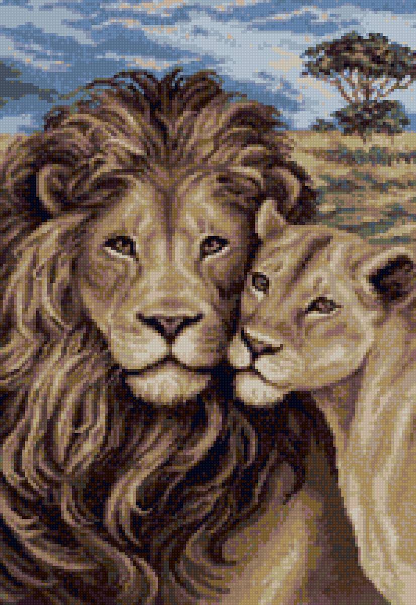 Львы - животные - предпросмотр