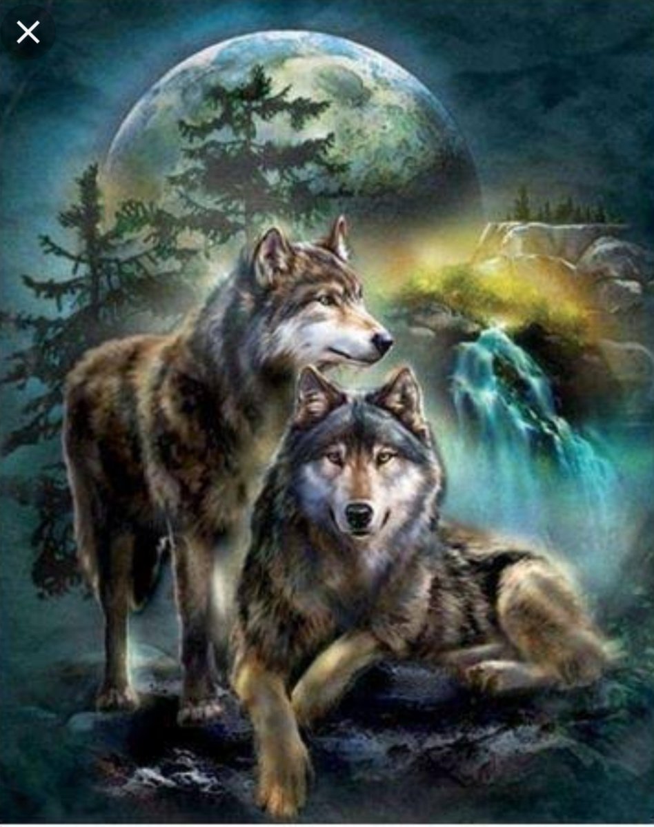 Волки - волки, водопад, луна - оригинал