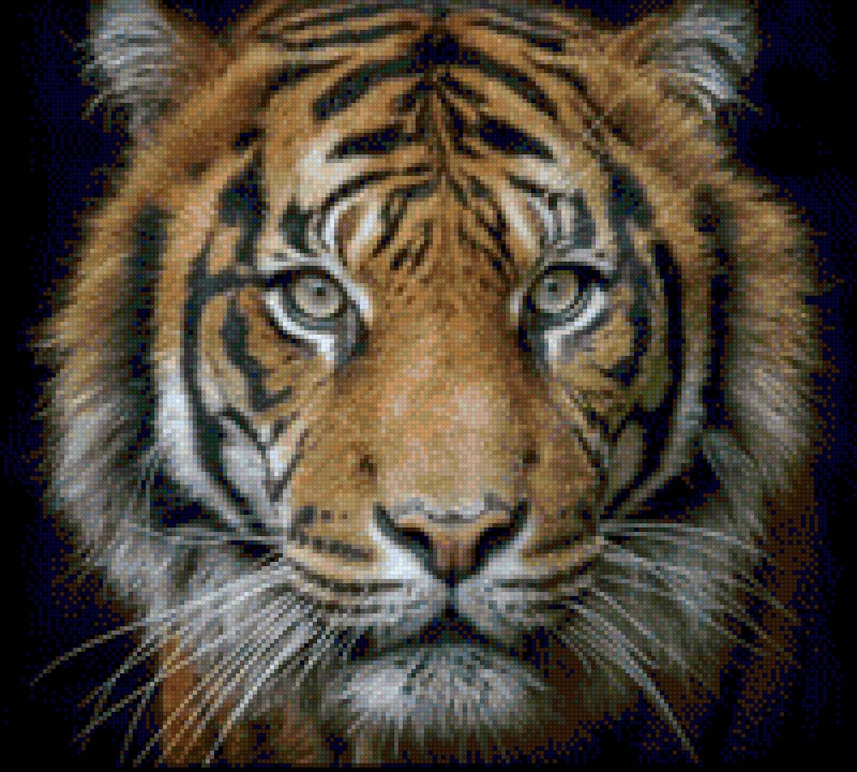 №2448426 - предпросмотр