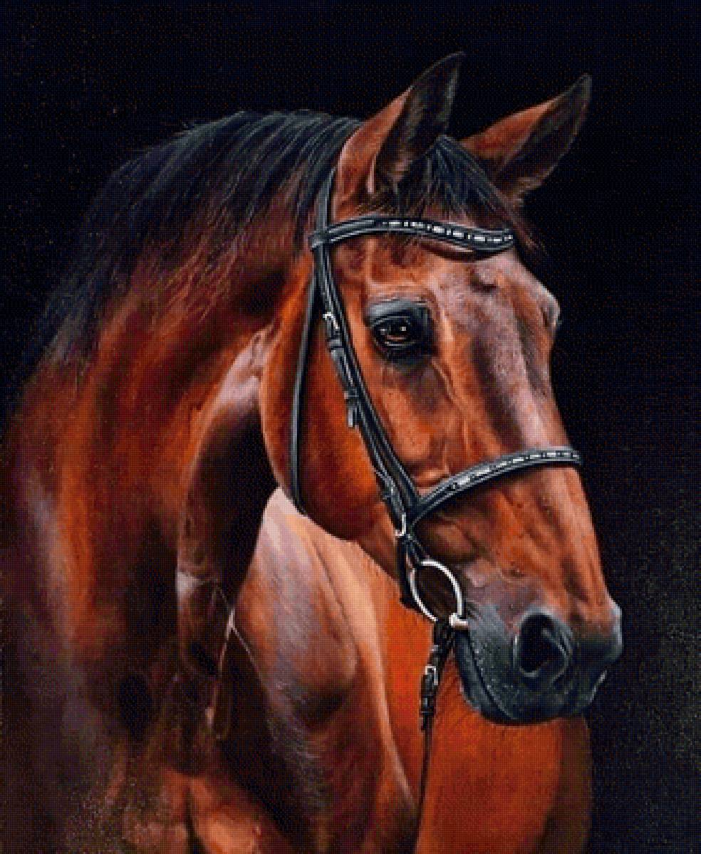 Грация - конь - предпросмотр