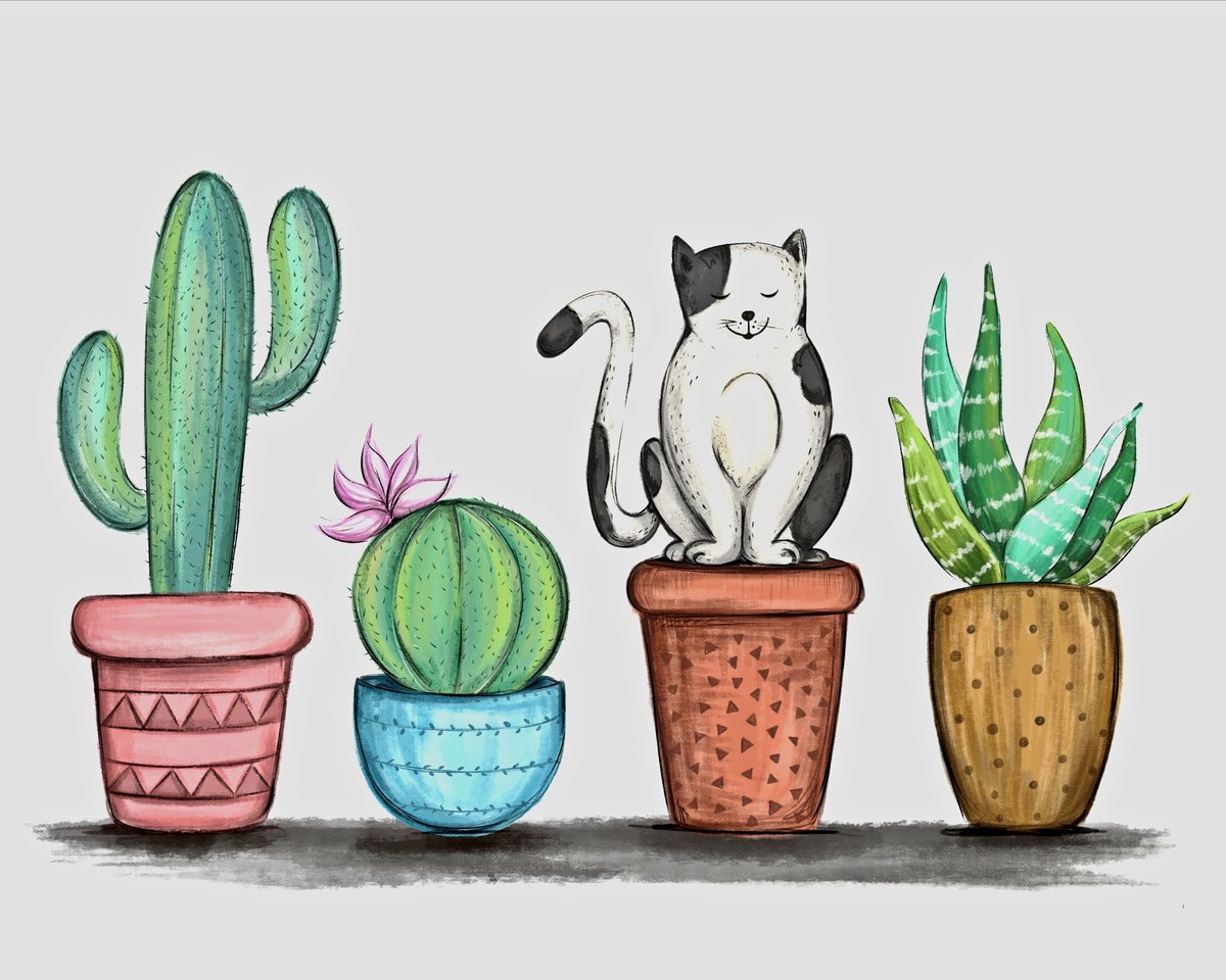 Цветочное ассорти - кактус, комнатные цветы, кот, цветочный вазон - оригинал