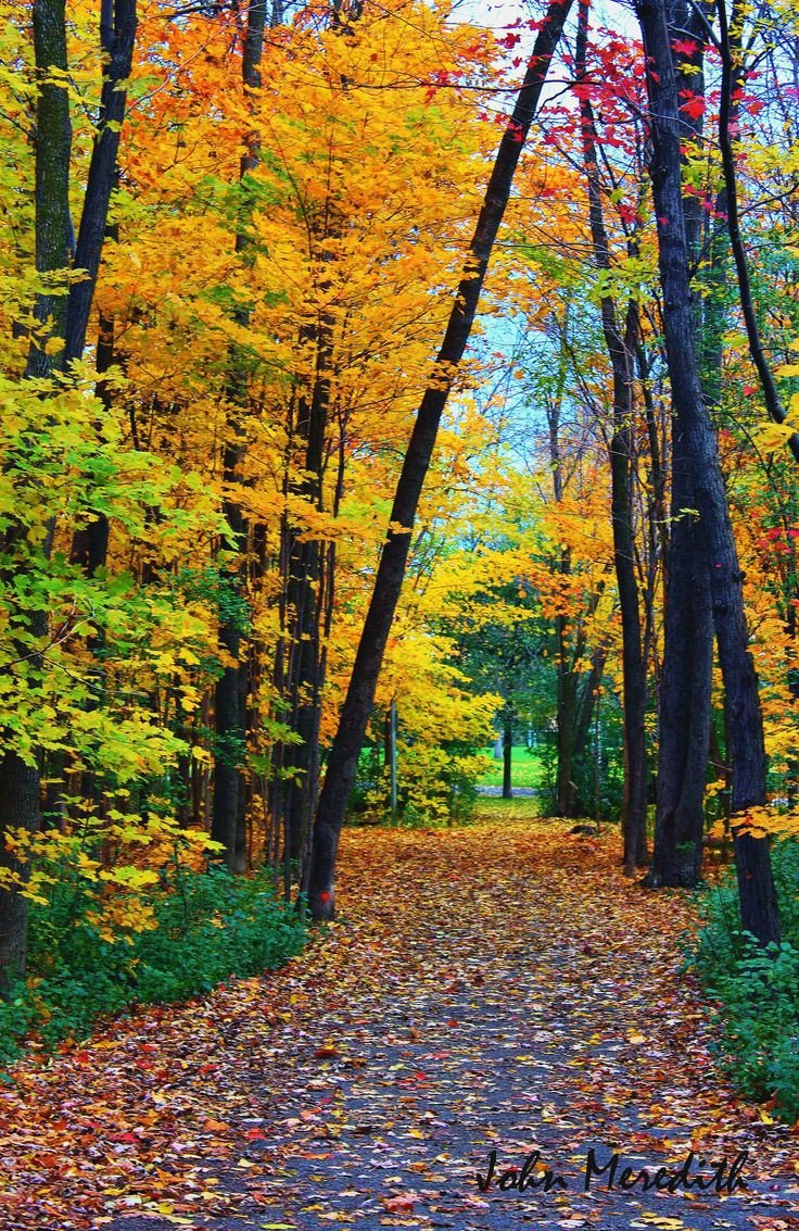 Осень - аллея, осень - оригинал