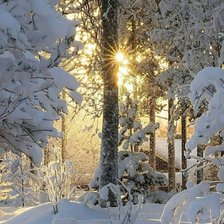 Схема вышивки «№2448842»