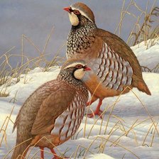 Схема вышивки «№2448883»