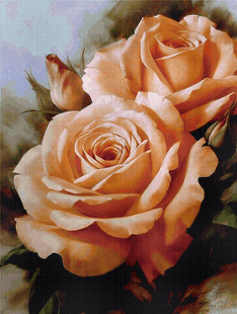 Чайные розы - роза - предпросмотр