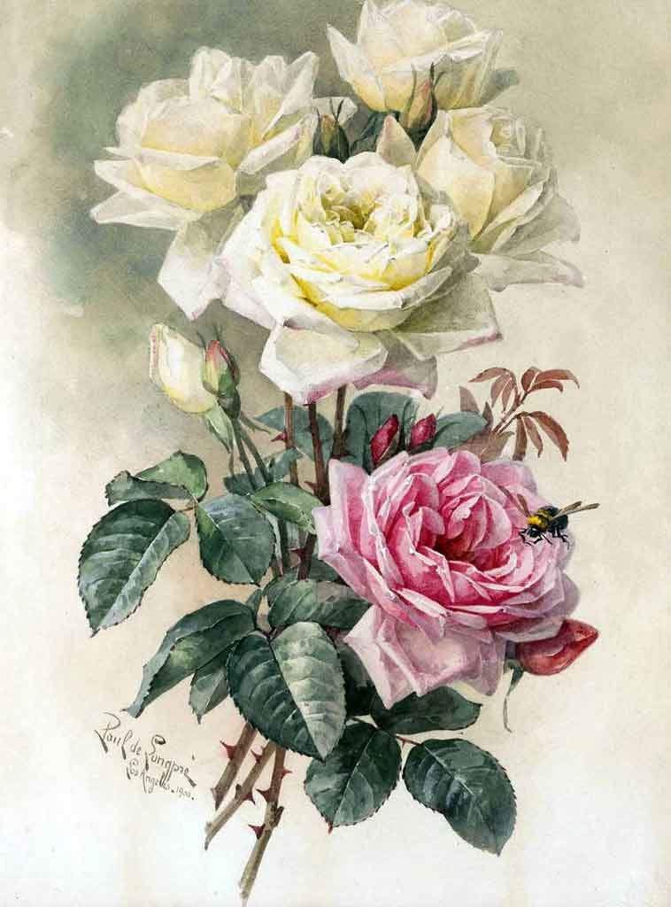 Желтые и розовые цветы - роза - оригинал
