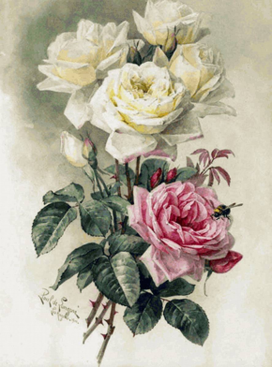 Желтые и розовые цветы - роза - предпросмотр