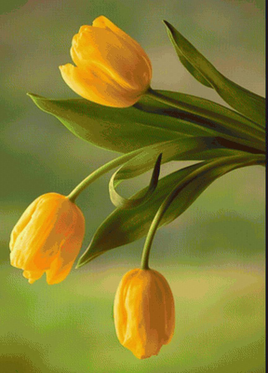 tulipán 1 - flores - предпросмотр