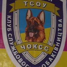 Схема вышивки «Чокс»