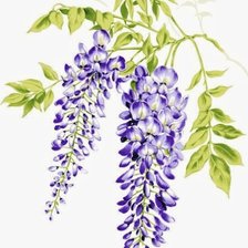 Схема вышивки «Цветы»