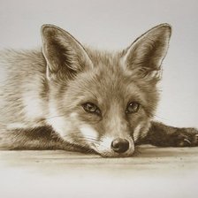 Схема вышивки «№2450215»