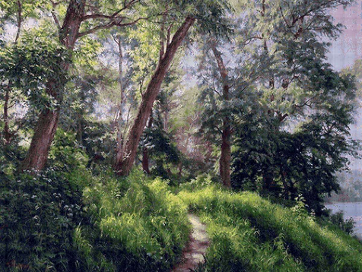 лес - дерево, лето, тропа - предпросмотр