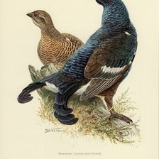 Схема вышивки «№2450781»