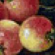 Предпросмотр схемы вышивки «Райские яблочки» (№2451610)