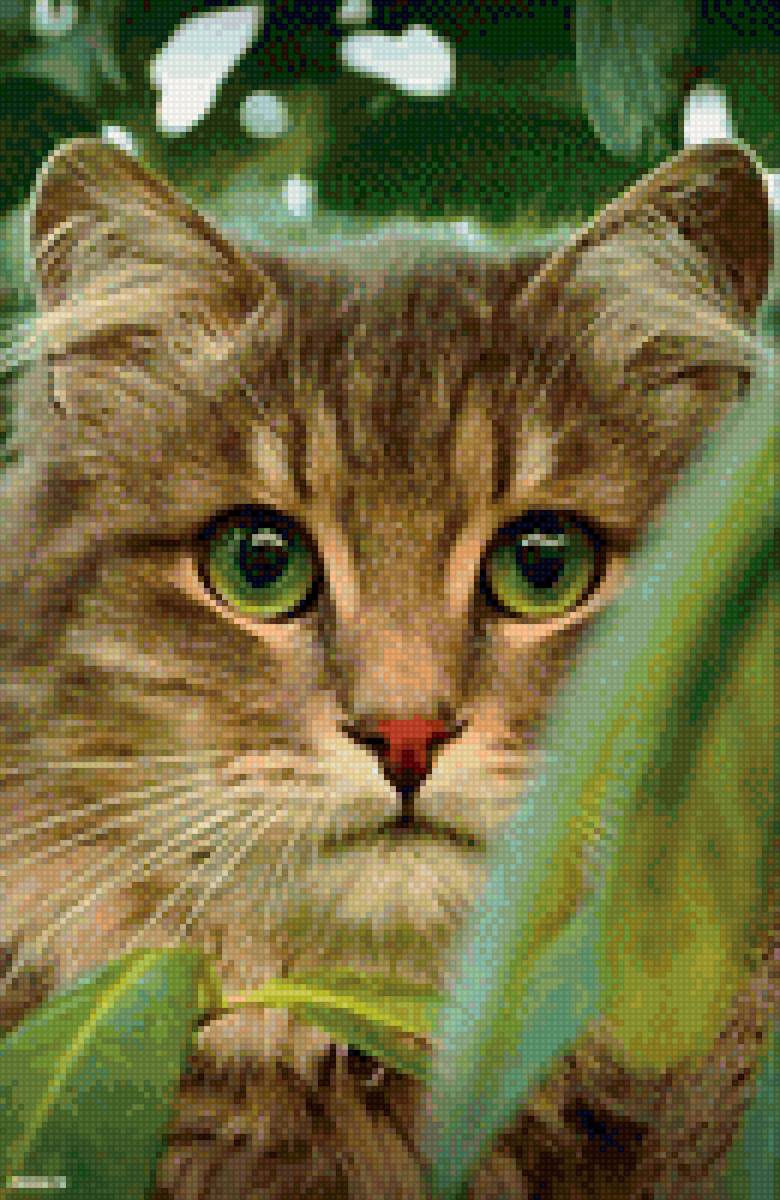 Котик - коты, животные - предпросмотр