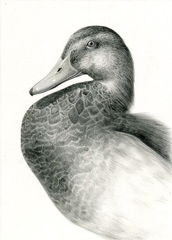 №2452181 - оригинал