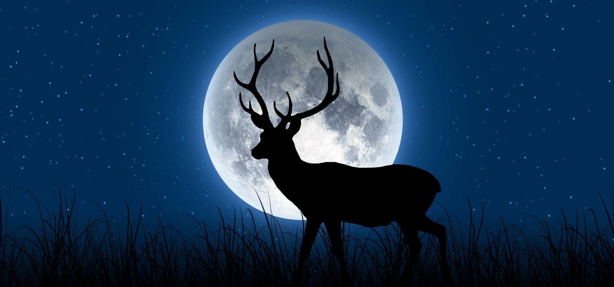 Arnaldo - ciervo - оригинал