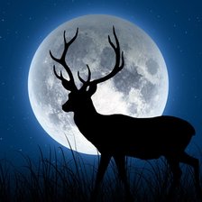 Схема вышивки «Arnaldo»