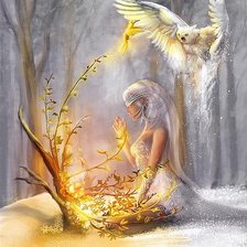 Схема вышивки «девушка и сова»