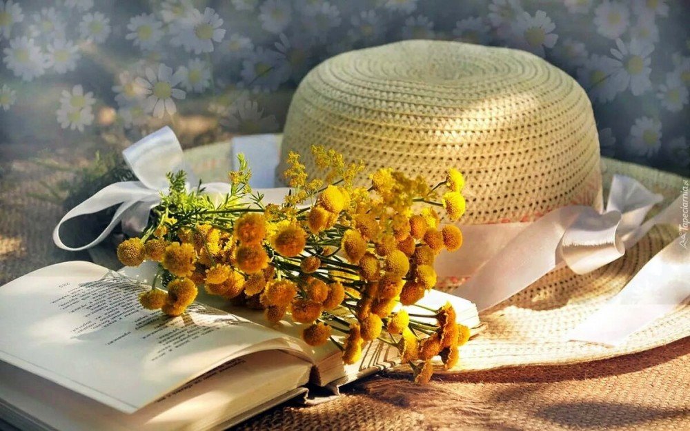 шляпка - цветы, лето, книга, натюрморт - оригинал