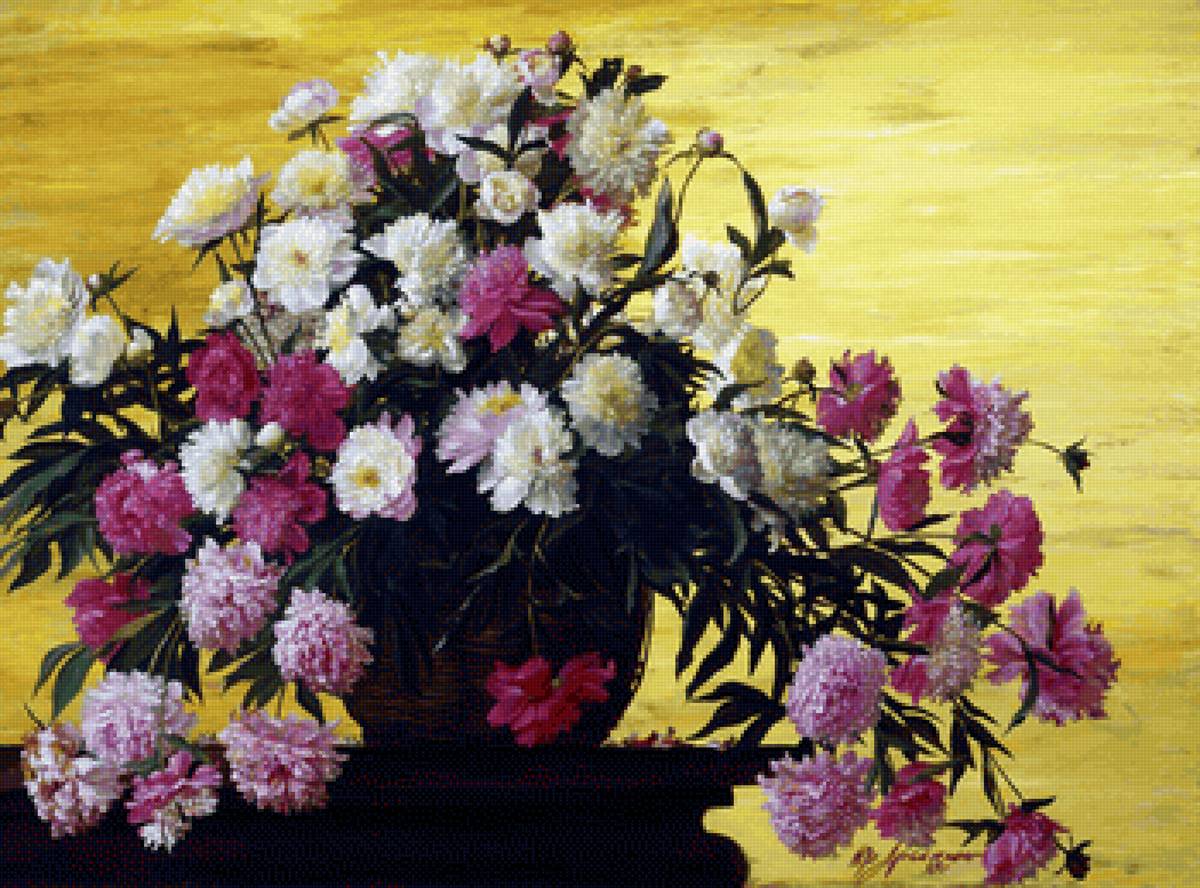 Пионы - цветы - предпросмотр