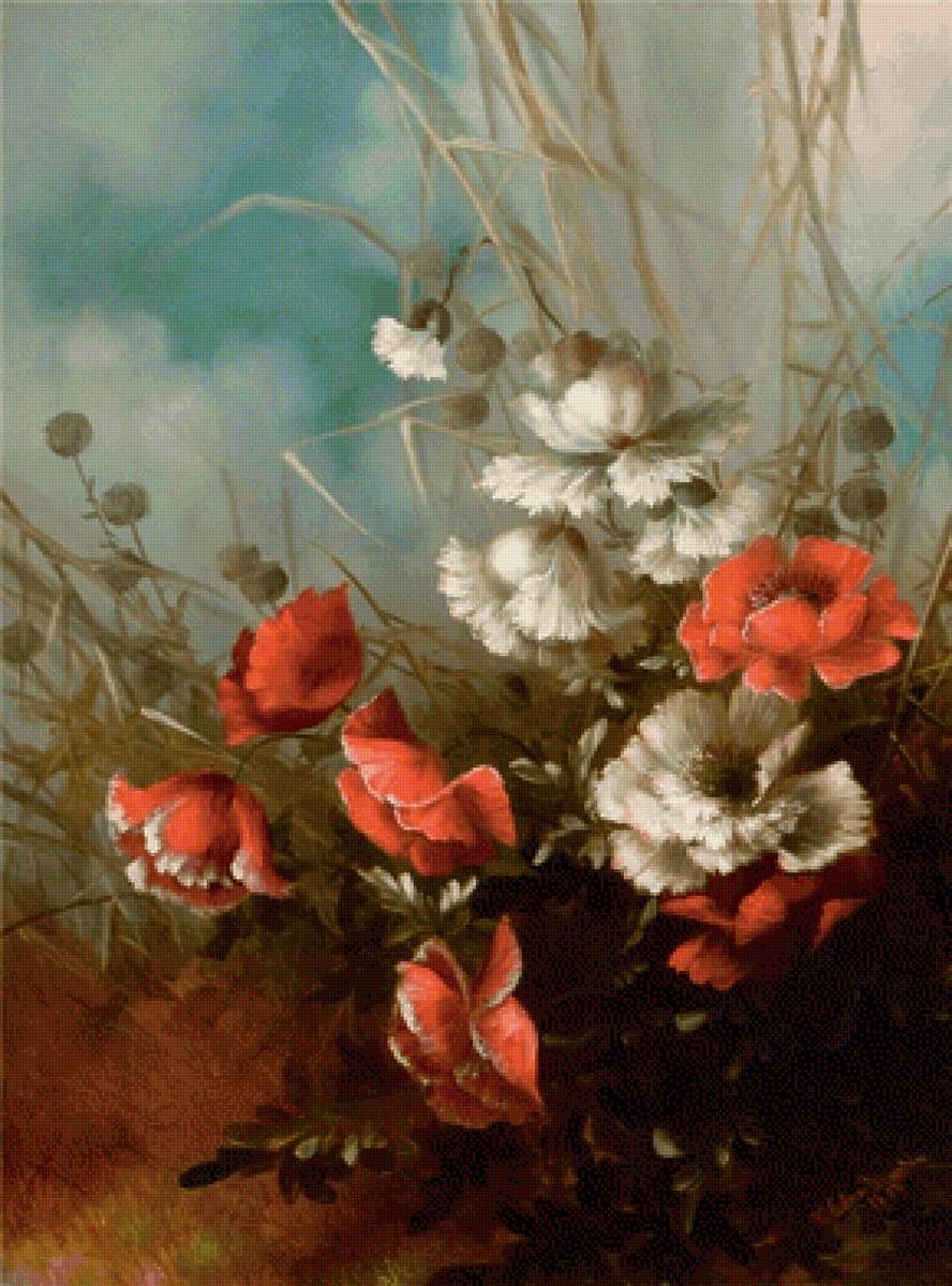 Акварельные маки - цветы - предпросмотр