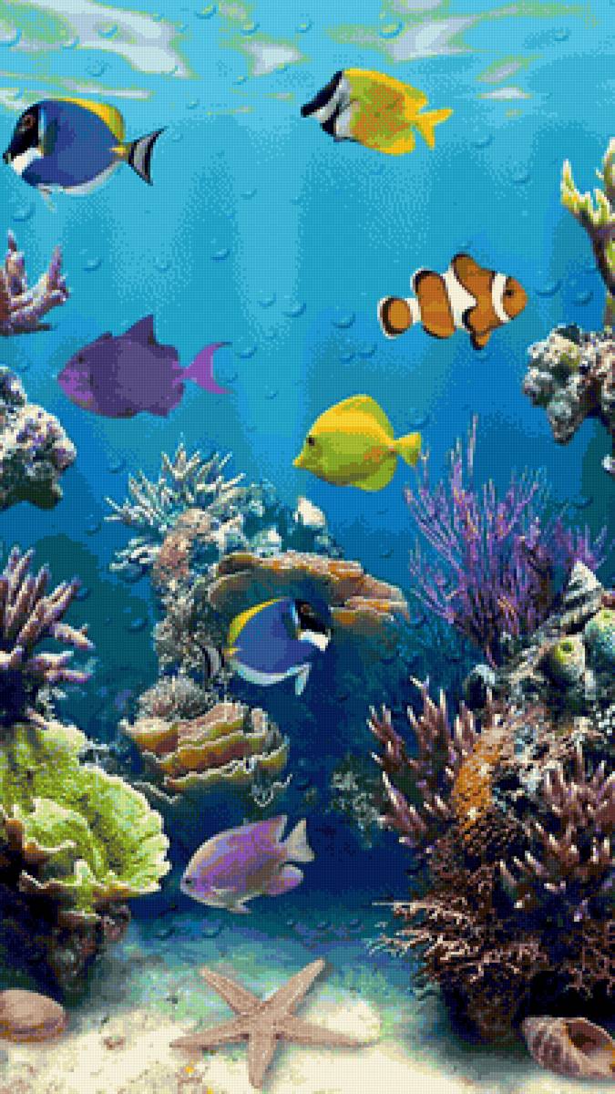 Подводное царство - вода море глубоко рыбки под водой - предпросмотр