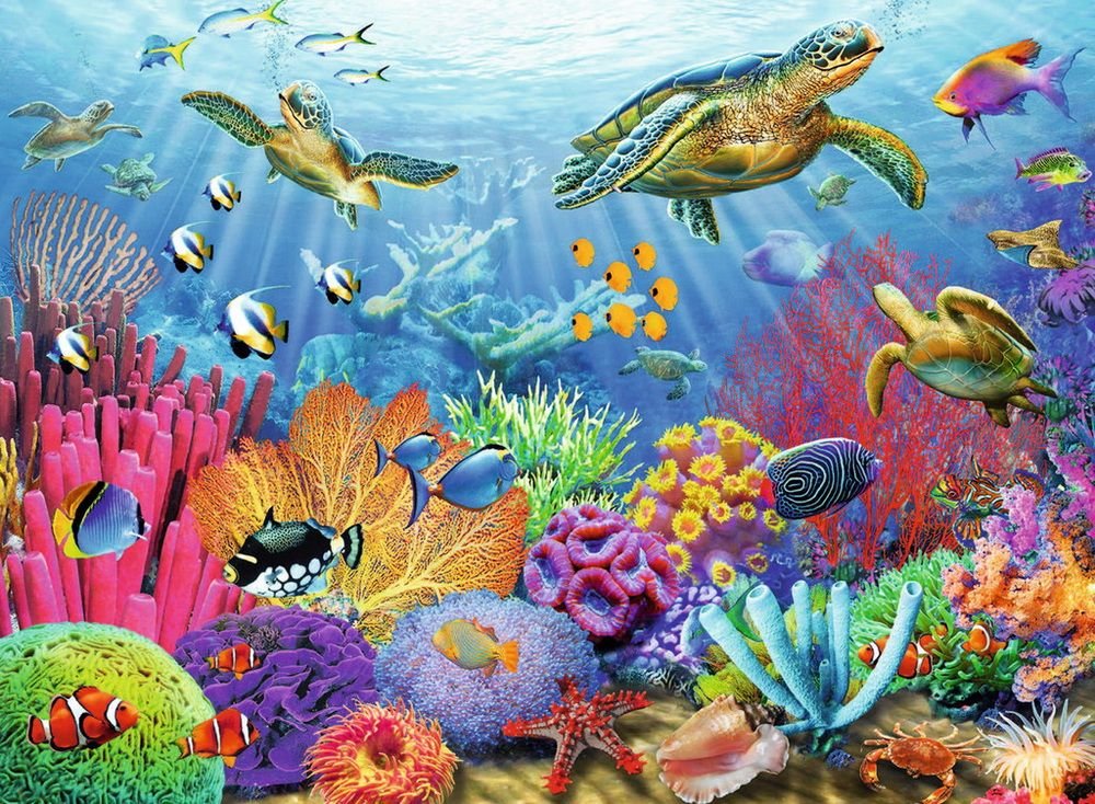 Под водой - черепашки водоросли море океан речка водоем - оригинал