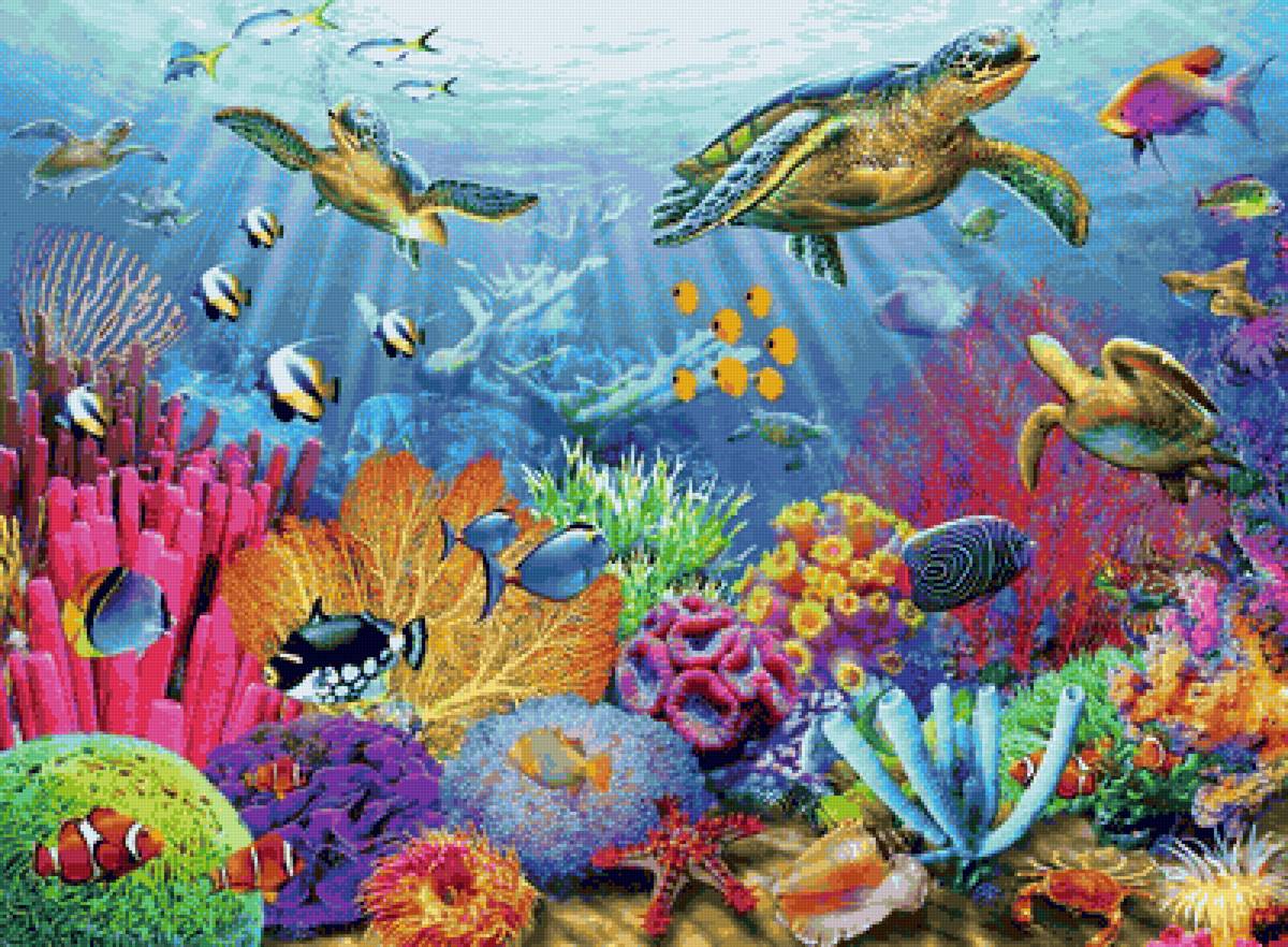 Под водой - черепашки водоросли море океан речка водоем - предпросмотр