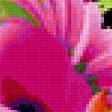 Предпросмотр схемы вышивки «Букет цветов» (№2453142)