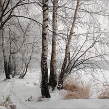 Схема вышивки «№2453158»