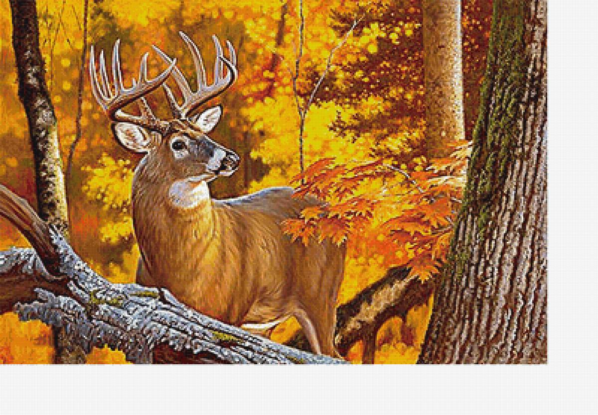Олень в березах. Картина олени. Алмазная мозаика олень в лесу осень. Олень в осеннем лесу иллюстрация.