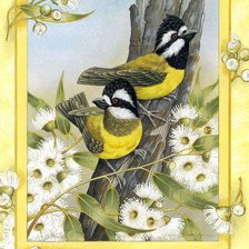 Схема вышивки «pájaros 3»