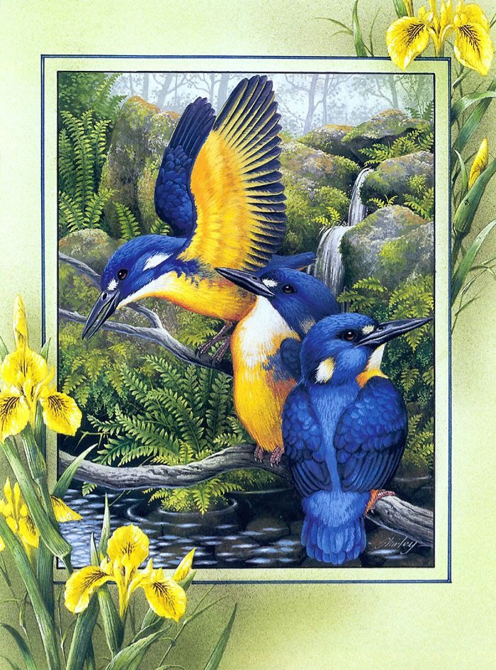 Pájaros 4 - pajaros - оригинал