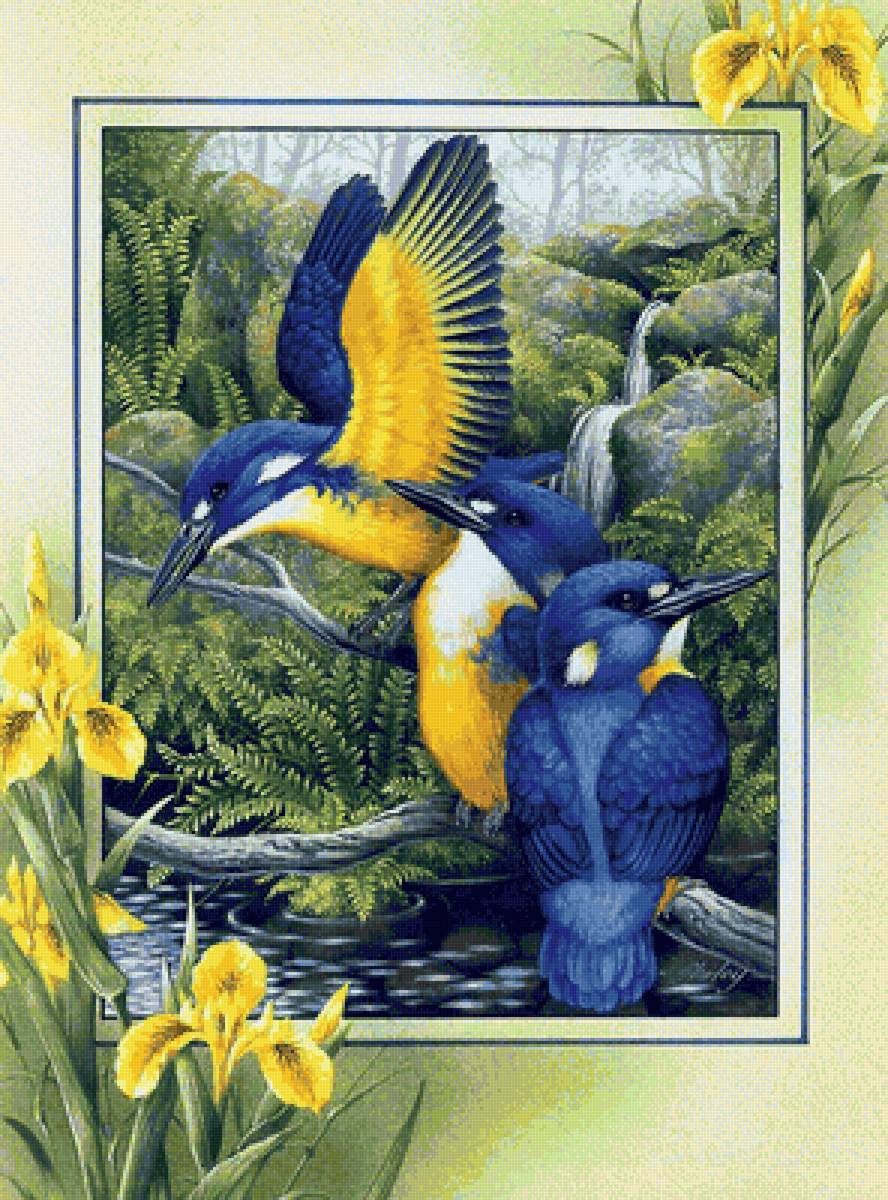 Pájaros 4 - pajaros - предпросмотр